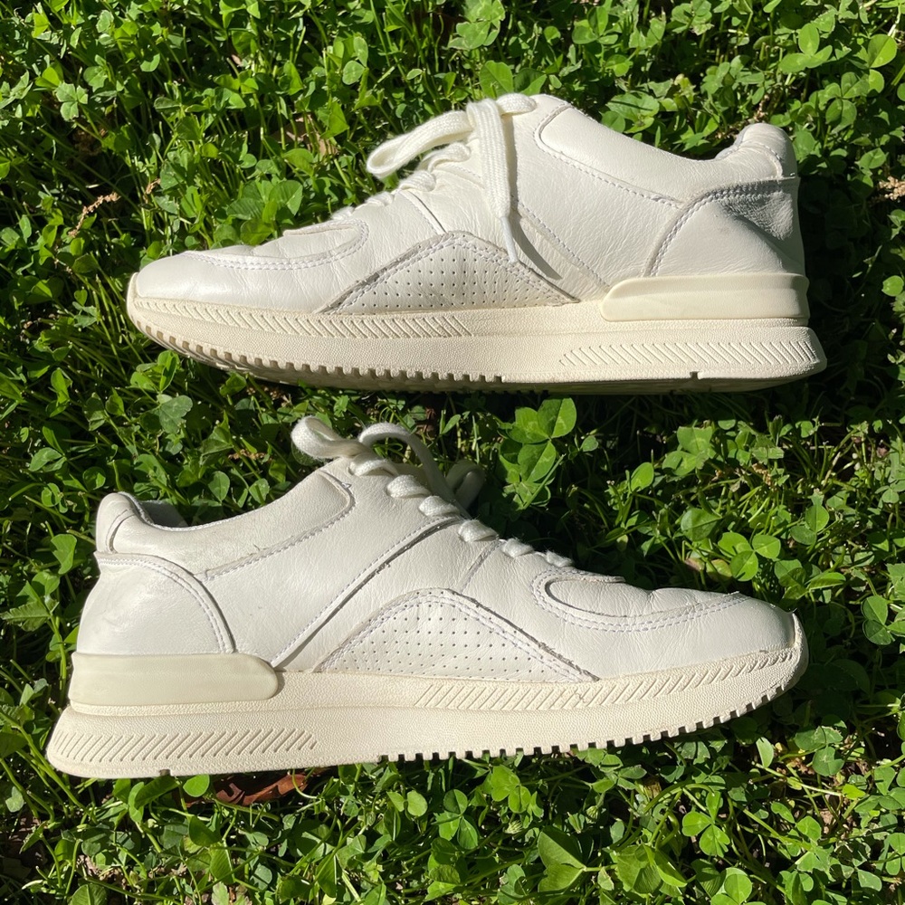 Everlane Leather Sneakers